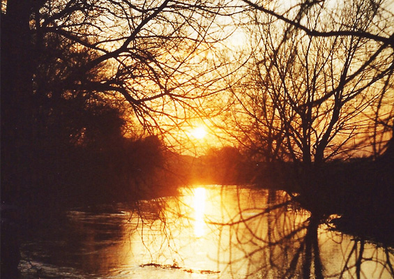 Winter sun on the Rhee near Cambridge