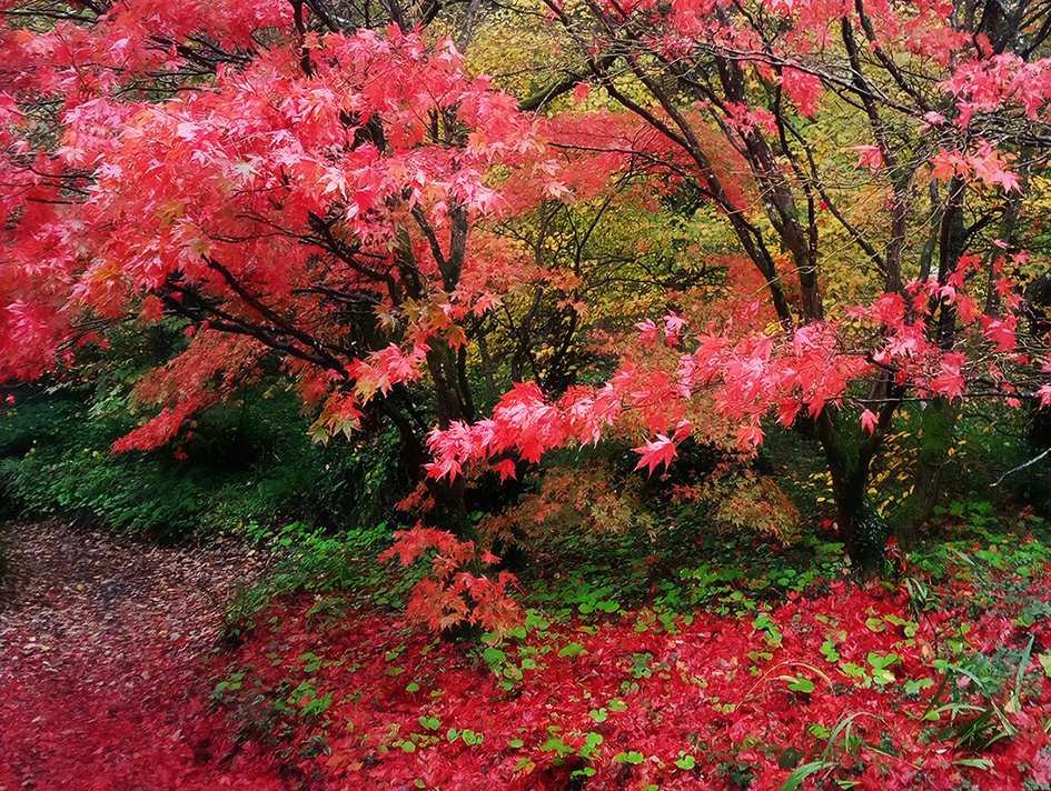 Photographer capturing storytelling moments