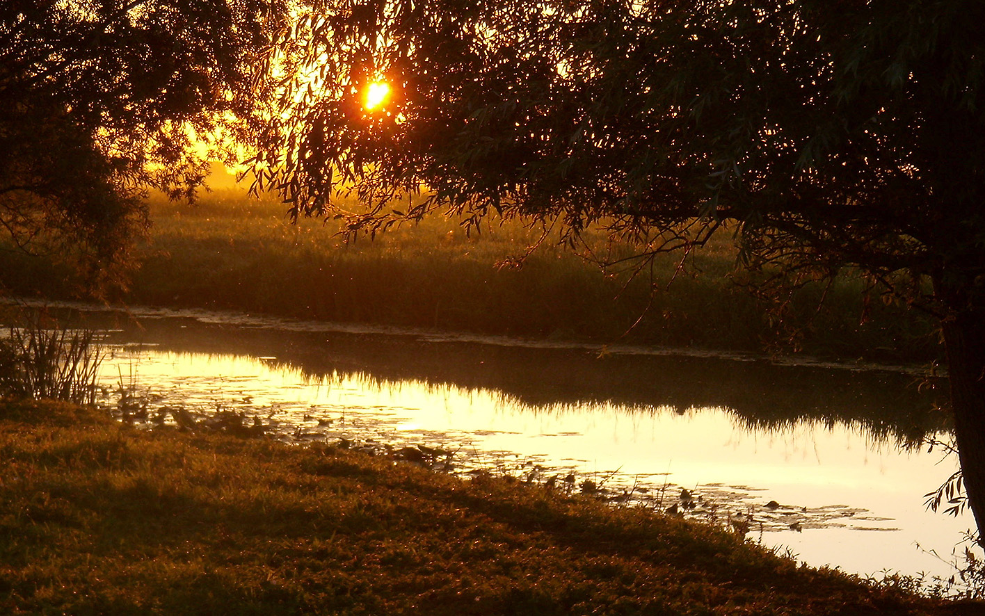 Peaceful river with sunrise breaking through