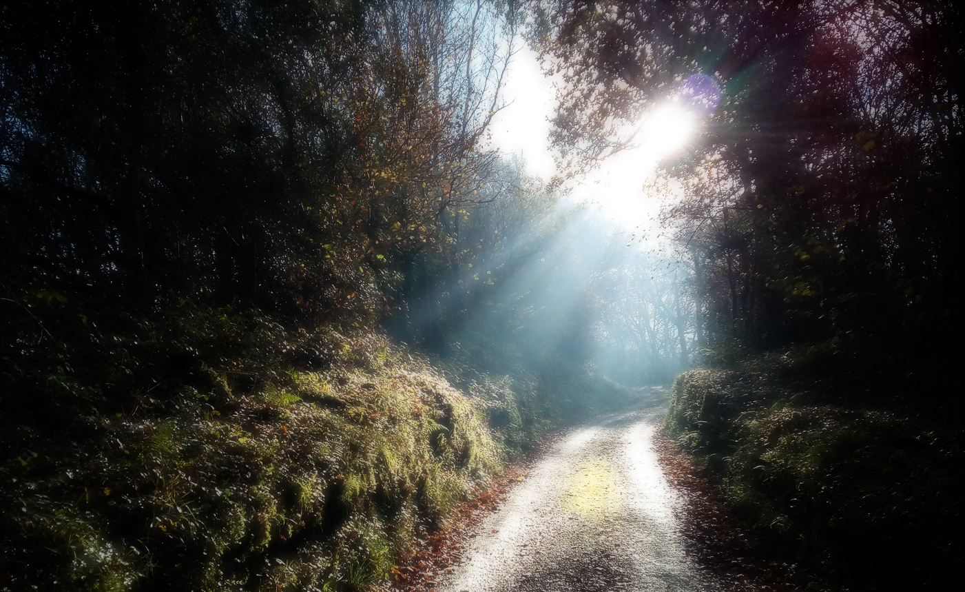 Counytryside photography